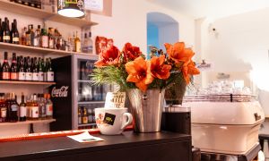 Rote Amaryllis in Silberkübel neben Espressomaschine und Bar-Regal.